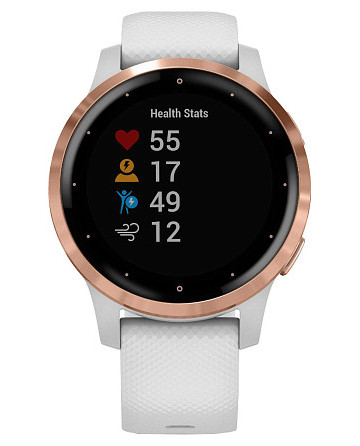 Garmin Vivoactive 4S 010-02172-23